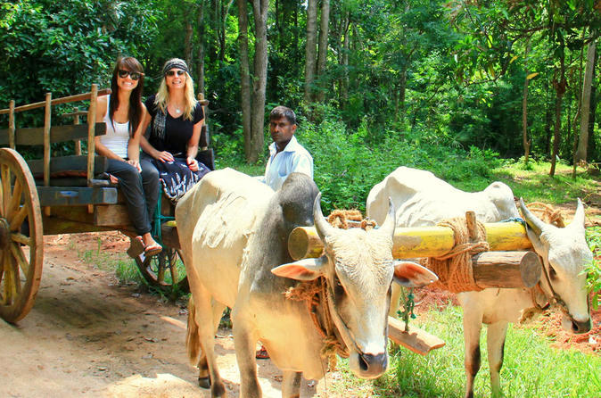 Thrills of Paradise 11 Discover the Beauty of Sri Lanka's Cultural Triangle with Private Transport