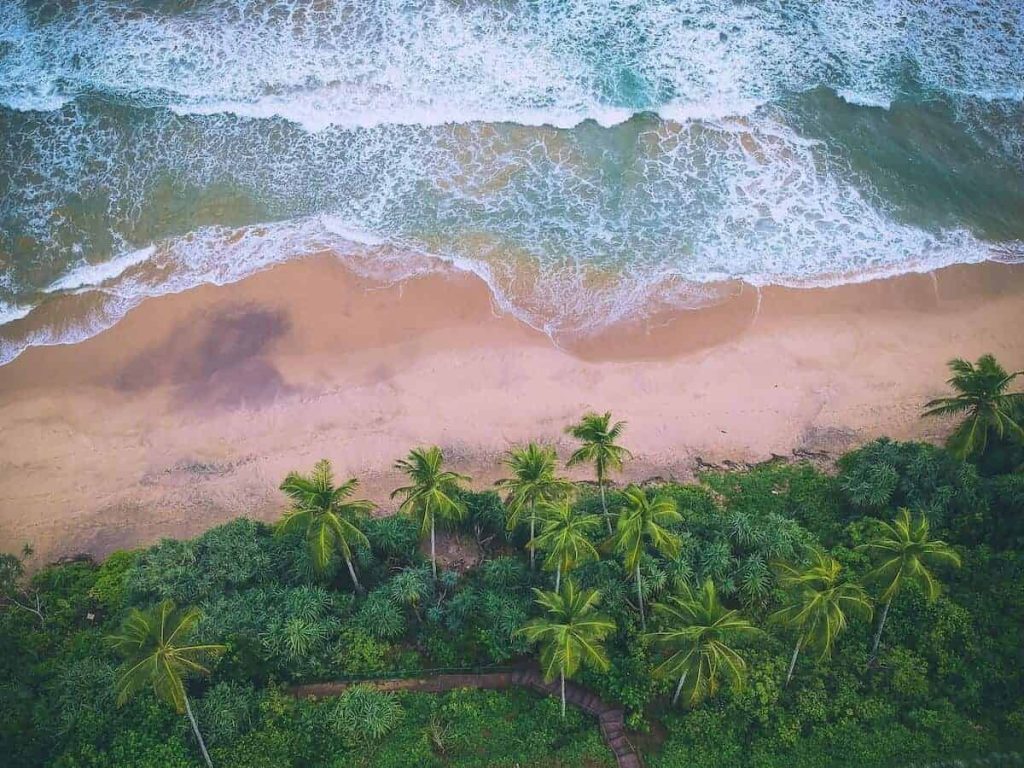 Pristine Beaches 1 Pristine beach with palm trees in Sri Lanka