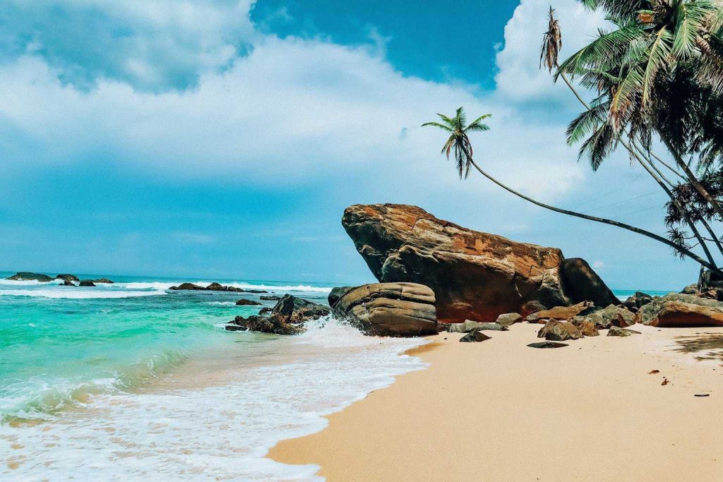 Pristine Beaches 4 Secluded Beach with Palm Tree, Sri Lanka Coast