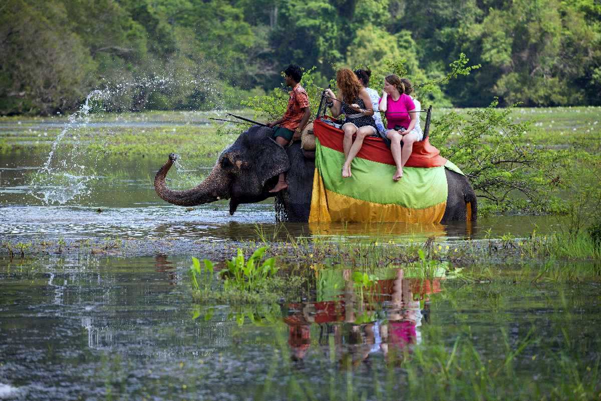 Thrills of Paradise 1 Happy tourists enjoying a scenic elephant ride through lush green jungle in Sri Lanka, book your adventure with Gleeam Pearl Tours