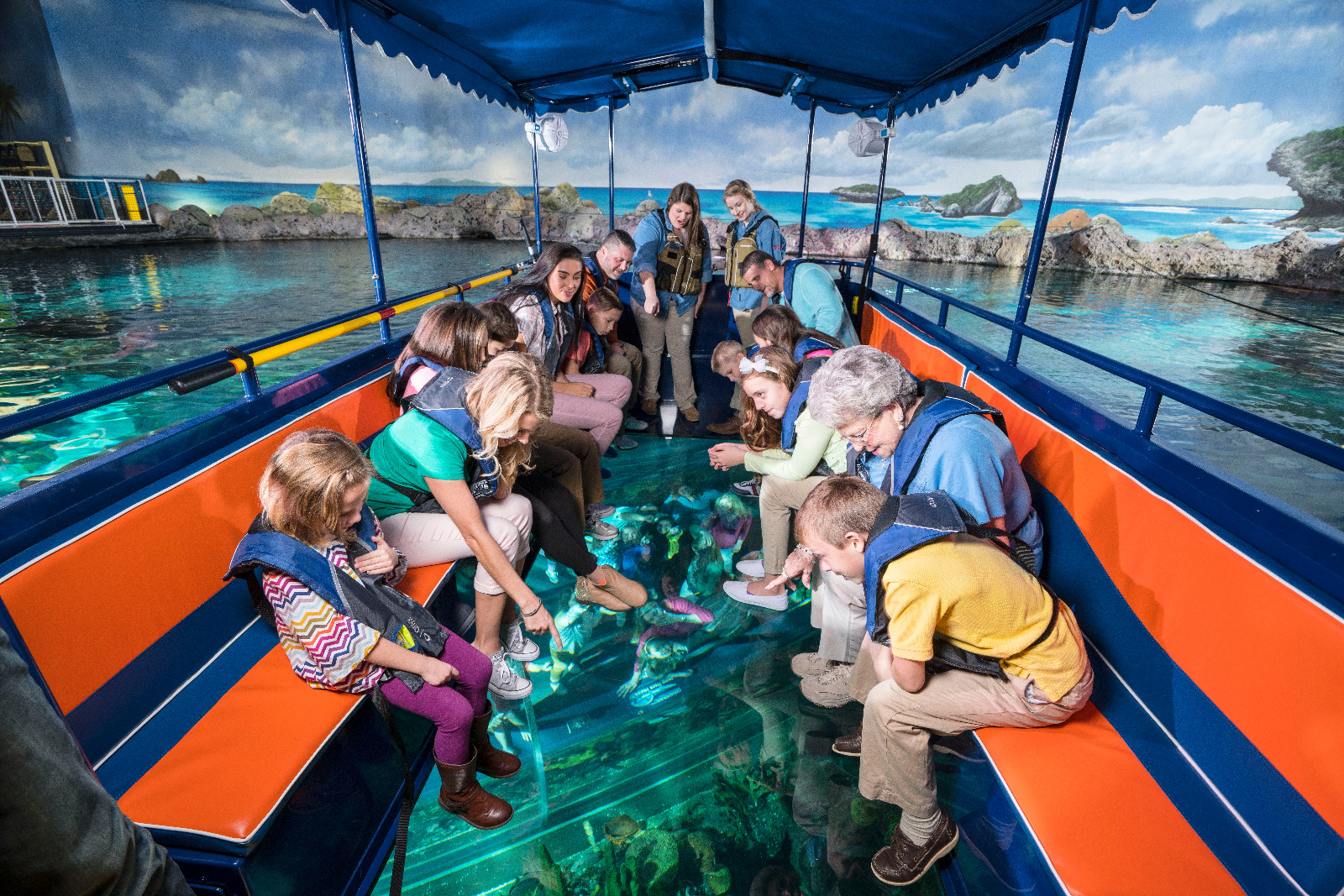 Thrills of Paradise 12 Explore the underwater world of Lake with a glass bottom boat tour from Gleam Pearl Tours.