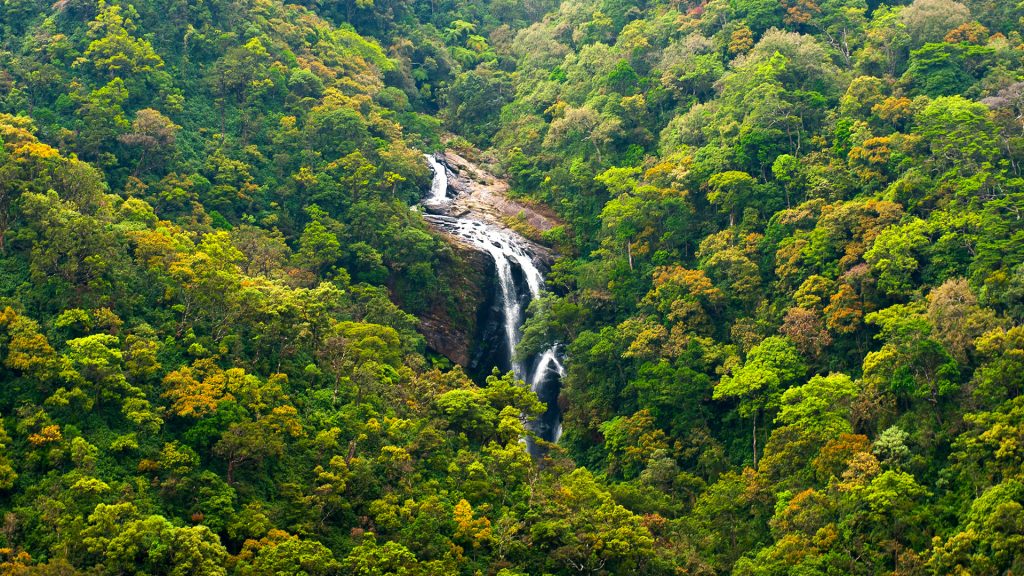 Picturesque Sri Lanka Waterfall amidst Tropical Rainforest
