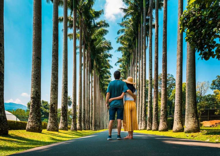 Loving couple enjoying their romantic honeymoon getaway on a palm-fringed road in Sri Lanka