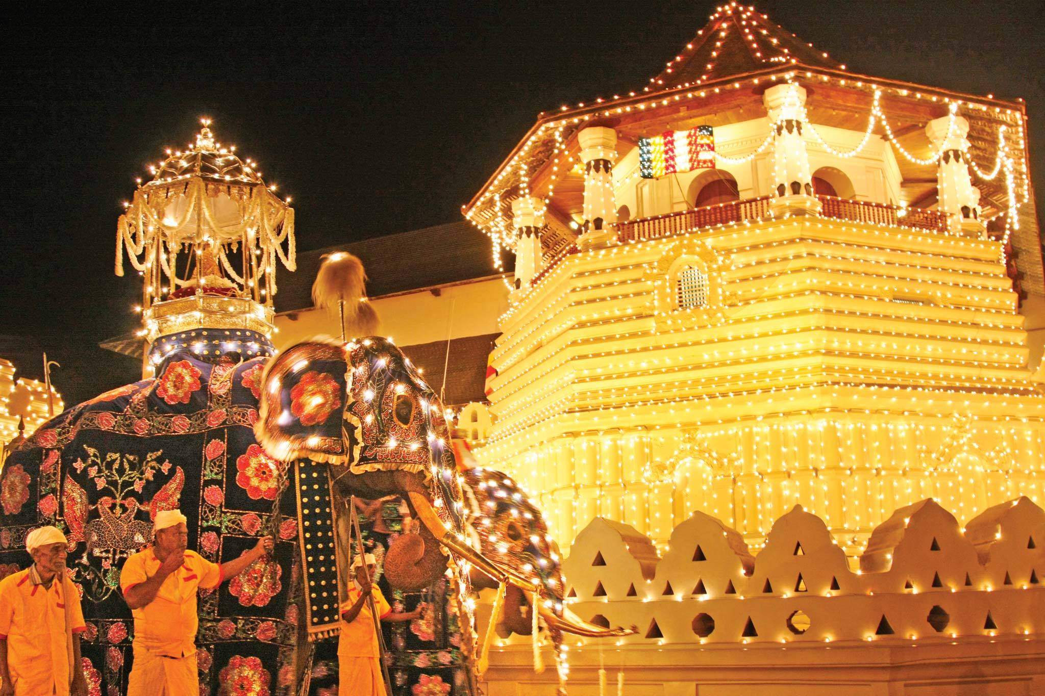 Thrills of Paradise 21 The Kandy Esala Perahera, a grand procession in Sri Lanka, featuring a decorated elephant and traditional dancers.
