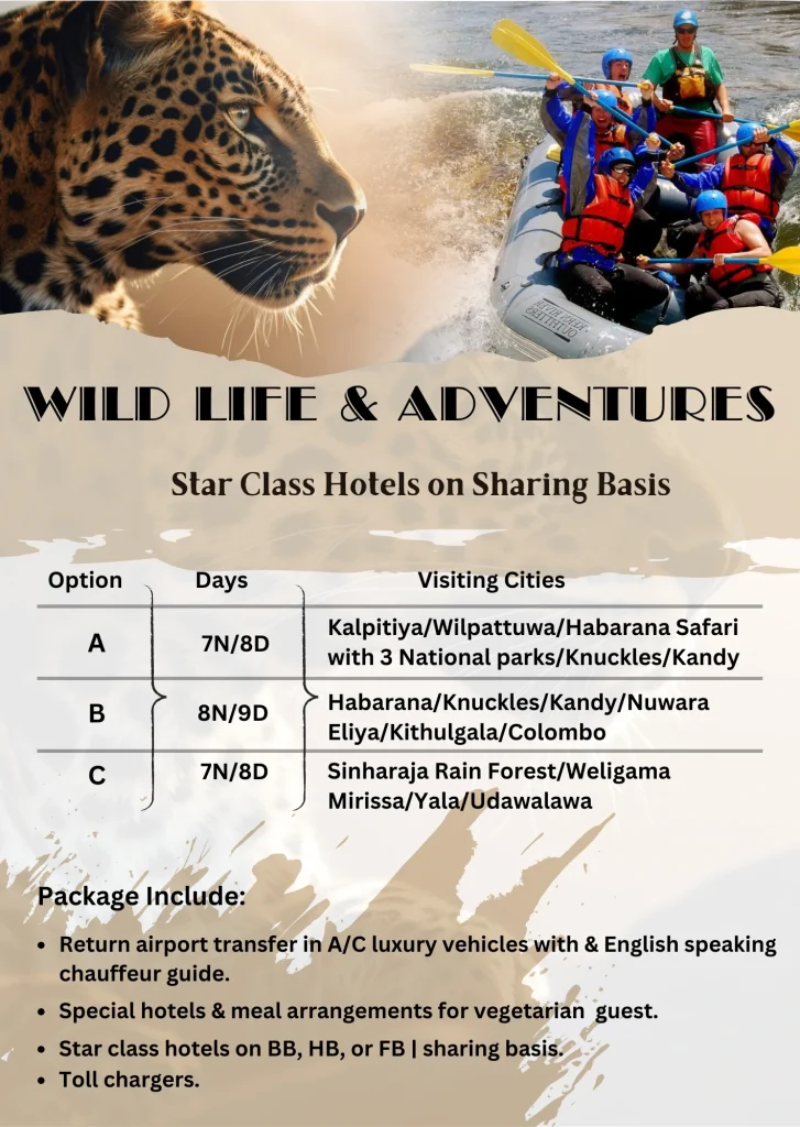 wild life adventure